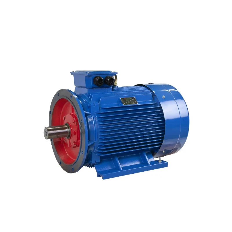 Cast Iron Three Phase Motor