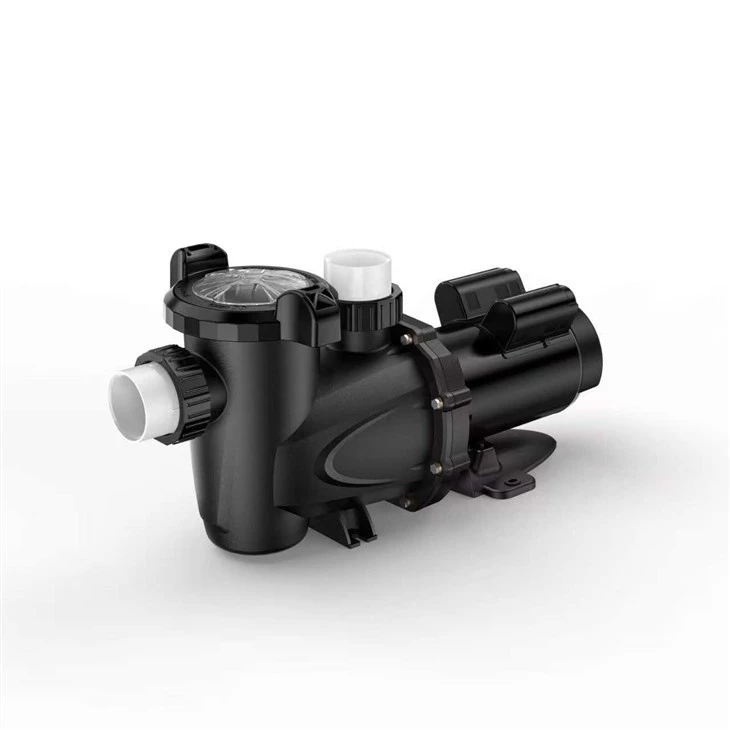 Two Speed Pool Pump