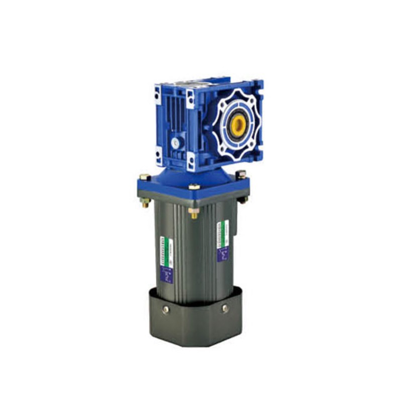 Worm Gear Reduction Motor